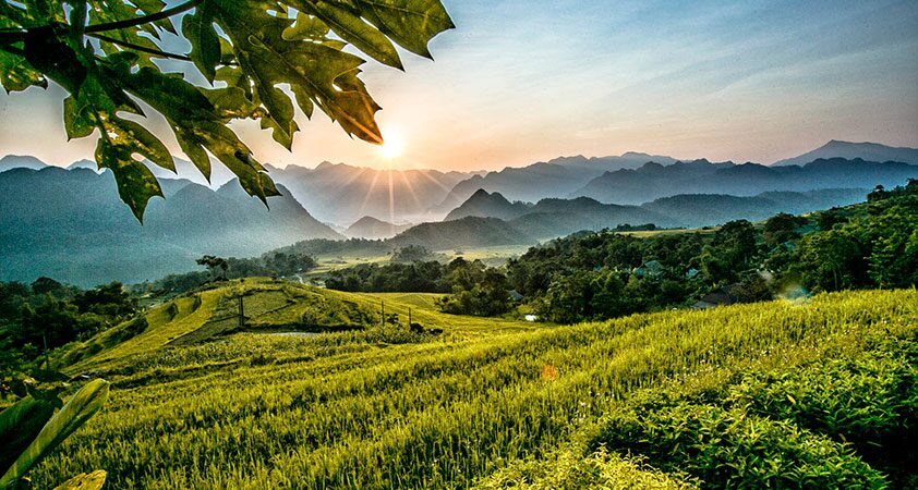 Thanh Hoa